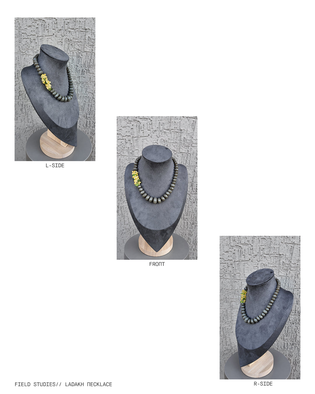 Field studies// Ladakh necklace